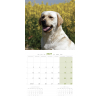 3002698_6