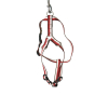 Jouet latex poulet 38 cm 