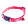 Gamelle double pour chien - beige