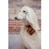 Collier en cuir noir pour chien - cuir coloré classique - larg 14mm Long 36cm