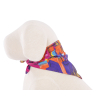 Longe pour chien en nylon rond bleu - larg 13 mm Long 300cm