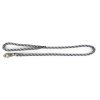 Laisse pour chien en nylon rond reflex noir