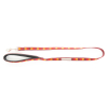 Laisse pour chien - Butterflies - larg 10mm Long 100cm