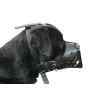Tee shirt pour chien - Téo Jasmin Pirate - S - 21cm