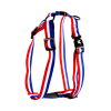 ORIJEN FRIANDISES Free-Run Duck pour chien