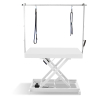 Vivog I-design Grooming Table White Frame – Lacquered Powdered Linen