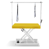 Table de toilettage Vivog I-design Châssis Blanc - Moutarde Laqué