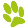Sticker paw - fluorescent light green - 15 cm