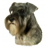 Autocollant Schnauzer - 15cm