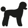 Poodle dog body sticker - modern cut - 15cm - Black