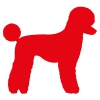 Poodle dog body sticker - modern cut - 15cm - Red