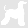 Afghan Hound dog body sticker - 15cm - White