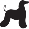 Autocollant Sticker corps de chien Lévrier Afghan - 15 cm - Noir