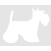 Autocollant Sticker corps de chien Scottish - 15cm - Blanc