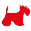 Autocollant Sticker corps de chien Scottish - 30cm - Rouge