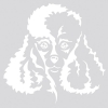 Autocollant Sticker tête de chien Caniche - 15cm - Blanc