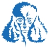 Autocollant Sticker tête de chien Caniche - 15cm - Bleu