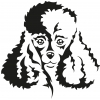 Poodle dog head sticker - 15cm - Black