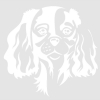 Autocollant Sticker tête de chien Cavalier King Charles - 15cm - Blanc