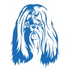 Autocollant Sticker tête de chien Shih-Tsu - 30 cm - Bleu