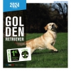 Calendrier chien 2023 - Golden Retriever - Martin Sellier 2024