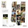Calendrier chien 2024 - Berger Belge Malinois - Martin Sellier _back