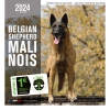Calendrier chien 2024 - Berger Belge Malinois - Martin Sellier_couv