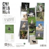 Calendrier chien 2024 - Chihuahua - Martin Sellier_dos