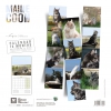 Calendrier chien 2024 - Maine Coon - Martin Sellier 2