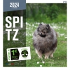 Calendrier chien 2024 - Spitz - Martin Sellier