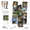 Calendrier chien 2026 - Beagle - Martin - dos