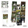 Calendrier chien 2026 - Berger Australien - Martin - dos