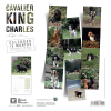 Calendrier chien 2026 - Cavalier King Charles - Martin - Dos