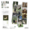Calendrier chien 2026 - Labrador - Martin - back