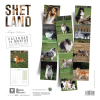 Calendrier chien 2026 - Shetland - Martin - dos
