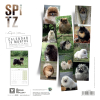Calendrier chien 2026 - Spitz - Martin - dos