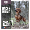 Calendrier chien 2026 - Teckel - Martin