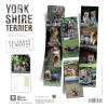 Calendrier chien 2026 - Yorkshire - Martin dos