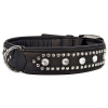 Collier bicker pour chien - Noir - 80x4.0cm