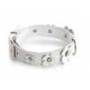 White leather collar for dog - Clover leather right - W 31mm L 55cm