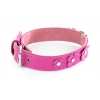 Fuchsia leather collar for dog - Clover leather right - W 20mm L 35cm