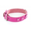 Collier cuir droit fuchsia pour chien - cuir fantaisie trèfle peausserie - larg 20mm Long 35cm