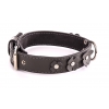 Grey leather collar for dog - Clover leather right - W 20mm L 35cm