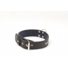 Leather Dog Collar - Leather Class - S - W40mm L54 to 58cm