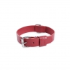 Collier cuir pleine fleur rouge pour chien - 35 à 41 cm