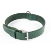 Green Leather Dog strait Collar - cut stung franc -W 30mm L 60cm