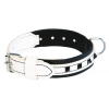 Collier en cuir blanc et noir pour chien - Montana - larg 35mm Long 60cm