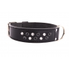 Black Leather dog collar - Swarovski strass - W45mm L65cm