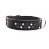 Collier en cuir noir pour chien - spécial molosse strass Swarovski - larg 45mm Long70cm