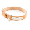 Coupé franc natural leather Dog Collar - W26mm L56cm